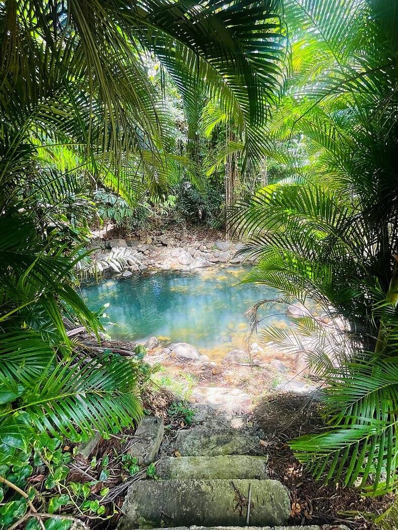 Villa Secret River, le jardin et la piscine