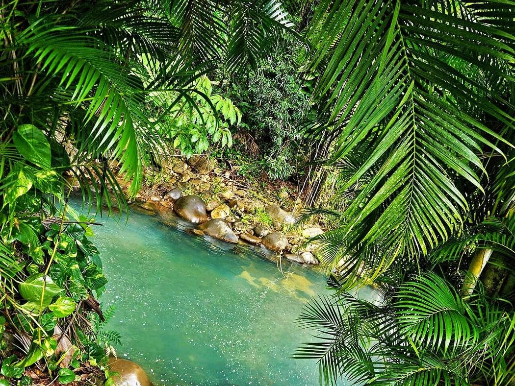 Villa Secret River, espace extérieur