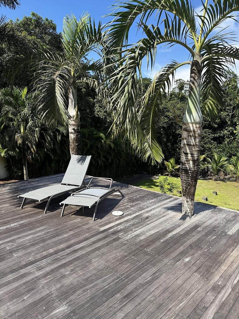 Transats sur le deck sous les palmiers
