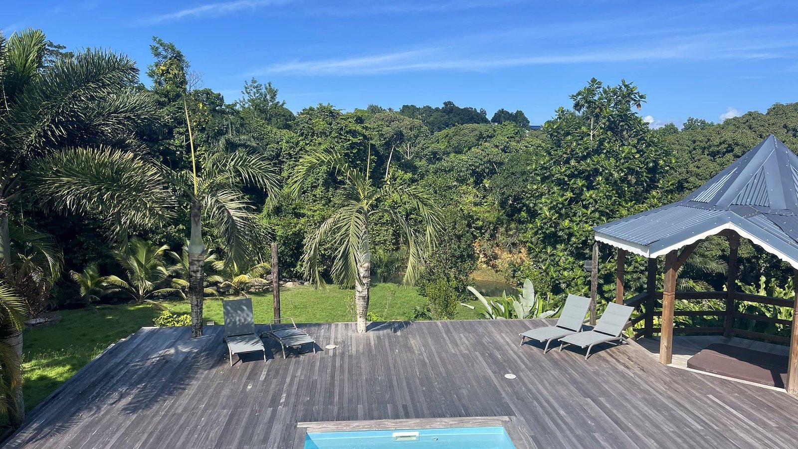 Le deck, la piscine et le carbet face à la forêt tropicale