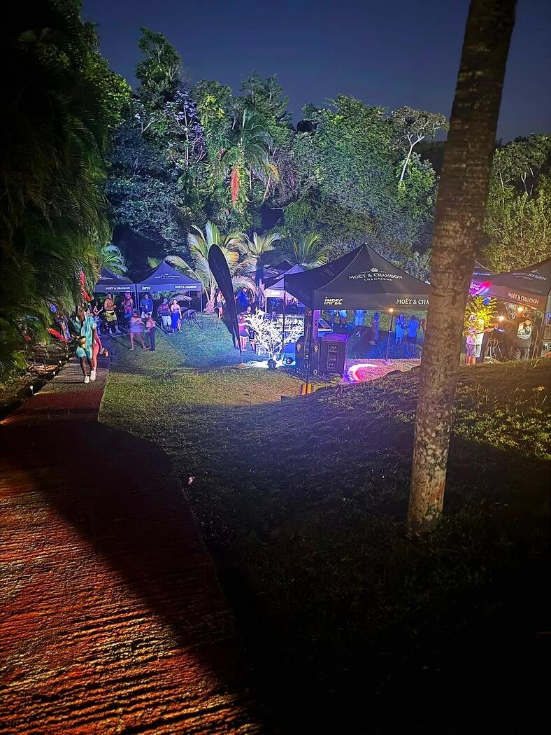 Soirée illuminée dans le grand jardin de la villa