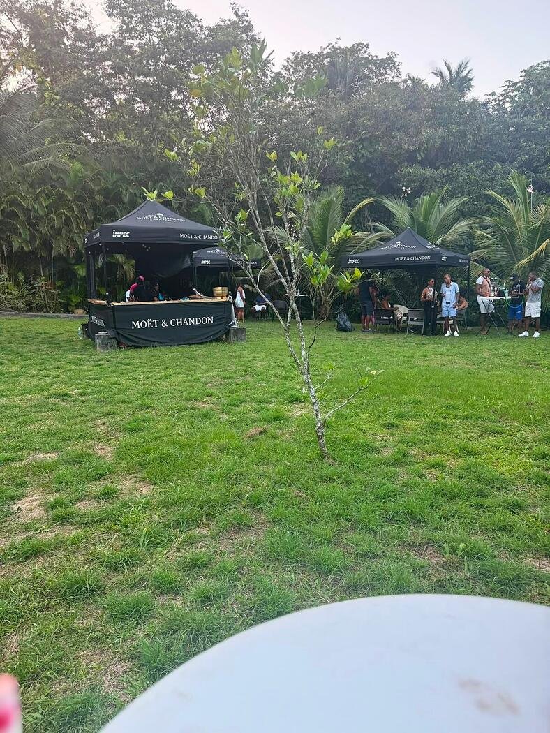 Garden party avec tentes de réception dans le jardin